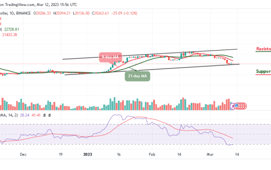 Bitcoin Price Prediction for Today, March 12: BTC/USD Fails to Breach $21,000