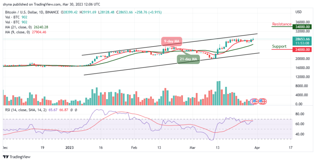 Bitcoin Price Prediction for Today, March 30: BTC/USD Bounces Above $29,000 Level