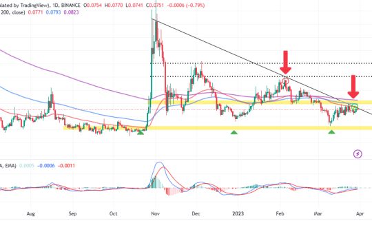 Dogecoin Price Prediction as Burger King Say They