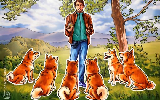 Will Shiba Inu tail Dogecoin's price rally?