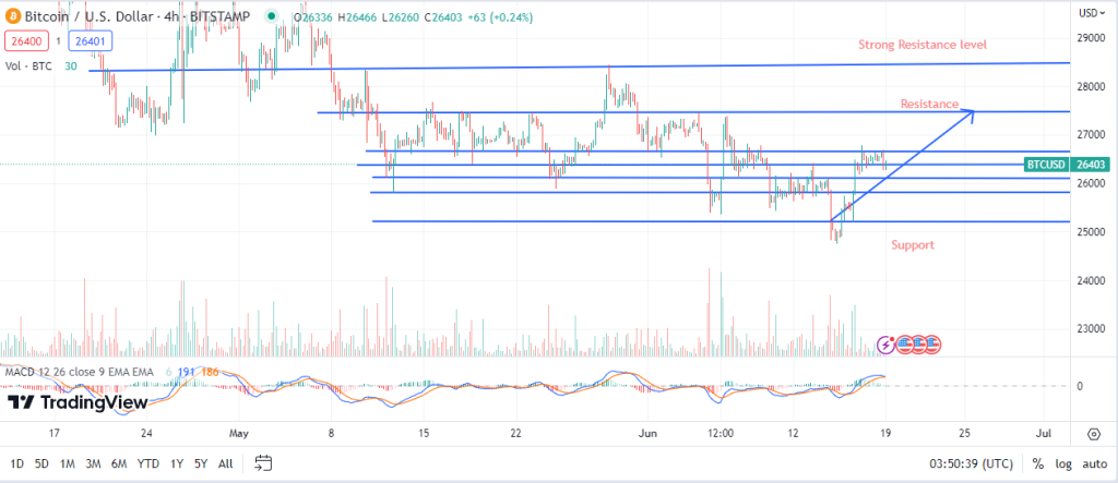 Bitcoin's $25,000 Support Holds Firm – Has the Bottom Arrived? Expert Price Predictions