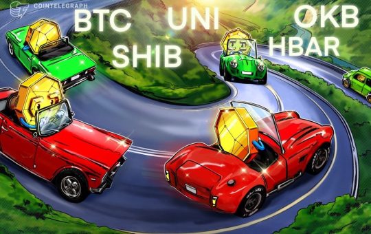 SHIB, UNI, OKB and HBAR flash bullish signs as Bitcoin volatility hits record low