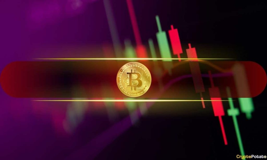 Bitcoin Shoots Up to $44K, Solana and Cardano Lead the Altcoin Revival (Market Watch)