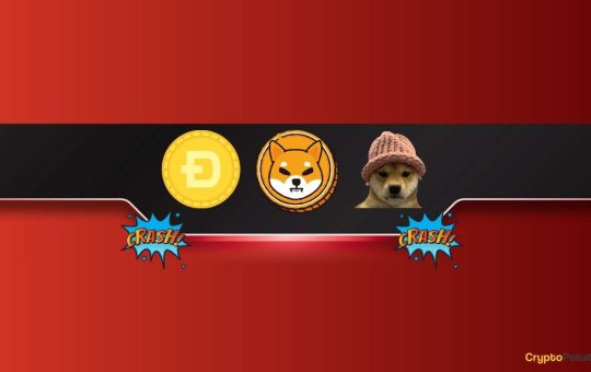 SHIB, DOGE, WIF Plunge Amid a Broader Market Decline