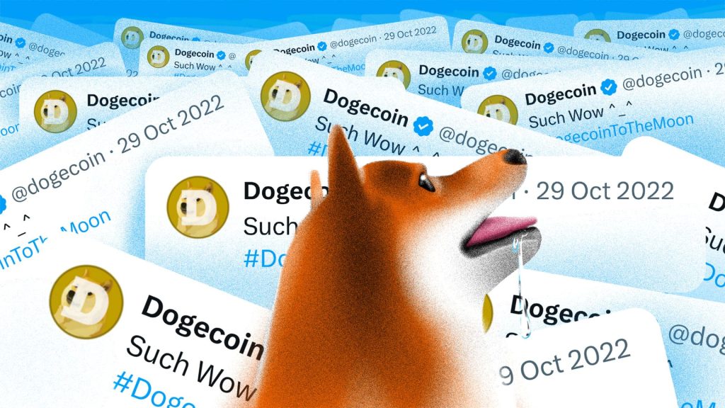 DogeChain to Cease Operations: Withdraw Dogecoin (DOGE) Now