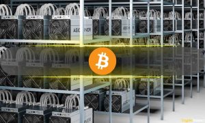 Bitcoin Sees Selling Pressure From Miners and Long-term Holders Amid Drop to $64K: Bitfinex