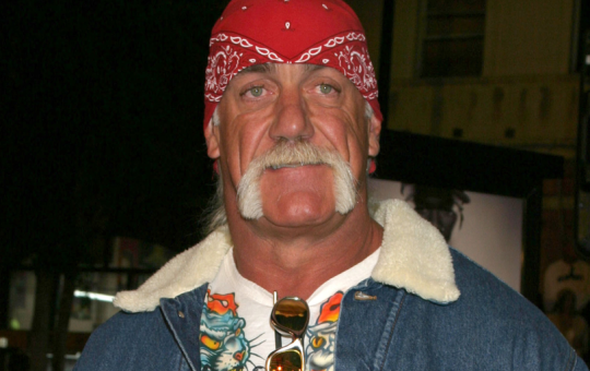 Did Hulk Hogan Really Pump and Dump a Solana Meme Coin?