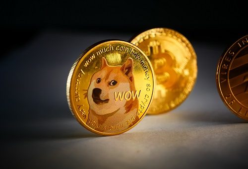 Dogecoin, Shiba Inu volume slumps as Solciety token sale thrives