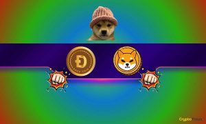 Dogwifhat (WIF) Outperforms DOGE, SHIB, and PEPE
