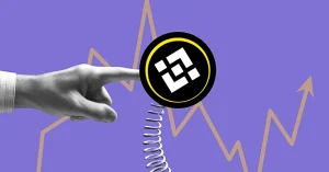 Should You Buy BNB in the Dip?